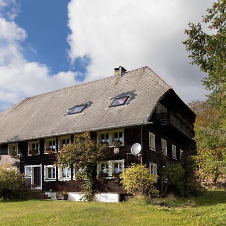فيلا Waelder: Quartier Dachsberg Dachsberg im Schwarzwald المظهر الخارجي الصورة